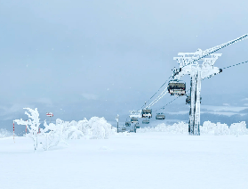 2026挑個好時間去日本滑雪，酒店房價便宜一半！