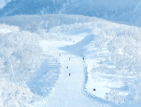 2026日本從新手到刻滑大神🎿單板滑雪全階段拆解✨