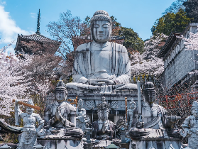奈良櫻花季一日遊實測｜小鹿+古寺+隱藏櫻花秘境超讚💖