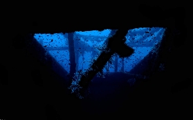 加萊拉港潛水｜PADI高級課程超讚體驗！這3件事一定要註意💦