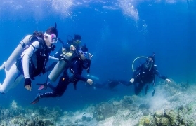 宿霧潛水避坑實測｜麥克坦+希魯東根2島潛水，新手老手都愛！✨