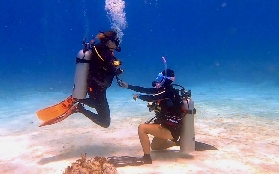 薄荷島PADI進階潛水實測｜五星中心超讚！避坑+選課全攻略✨