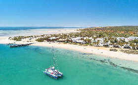 澳洲Monkey Mia賞海豚半日遊實測｜飛行+海巡超讚避坑指南✨