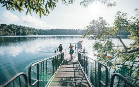 凱恩斯阿瑟頓高原一日遊實測｜瀑布遊水+原住民故事超讚🤩