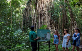 凱恩斯阿瑟頓高原一日遊｜避坑指南+總體驗總結📝