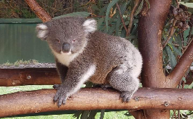 伯斯小團遊避坑指南｜親身經歷的5個必看提醒💡