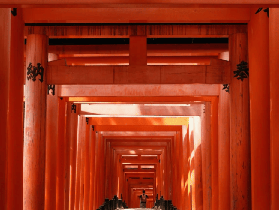 京都一日遊實測｜伏見稻荷+金閣寺夜間光影藝術｜避坑指南✨