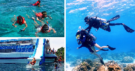 普吉島3島浮潛實測｜避開人潮偶遇野生海豚！超抵玩法攻略✨