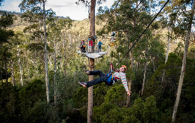 朗塞斯頓必玩！霍利班克荒野滑索賽格威｜預訂前避坑指南✨