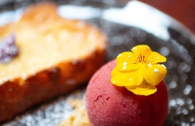 巴黎葡萄酒晚宴實測｜3小時解鎖法餐+酒知識，不踩雷攻略✨