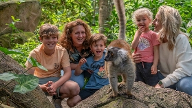 🌍荷蘭隱藏版！走進現實版《動物方城市》，Wildlands Zoo 三大主題區震撼開箱🦒❄️