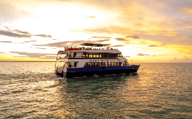 達爾文港遊船晚餐｜超讚日落+海鮮吃到飽！預訂/體驗全攻略避坑✨