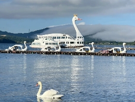 富士山雙湖騎行一日遊實測｜預訂前必看3個避坑點✨