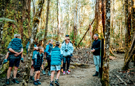 塔斯馬尼亞小團實測｜3亮點+避坑指南｜別再走冤枉路✨