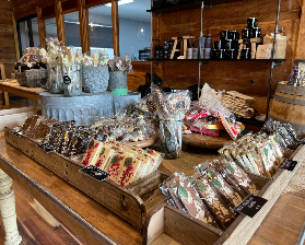 霍巴特亞瑟港一日遊避坑總結｜親測這些坑別踩⚠️