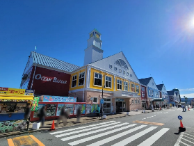 伊豆一日遊避坑指南｜實測3個必註意的點！別踩雷！⚠️