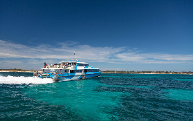 珀斯羅特尼斯島Segway｜預訂前必看！3個避坑點幫你省錢✨