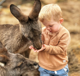 霍巴特半日遊選這條！塔斯馬尼亞惡魔+裏士滿古村超抵✨