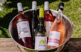 獵人谷圖洛克酒莊品酒巧克力體驗｜遊玩後總結避坑指南📝