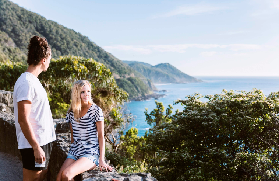 澳洲大洋路反向遊｜避開人擠人+雨林尋無尾熊=超讚體驗💯