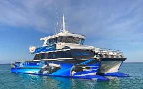 澳洲虎鯨探險實測｜布雷默灣8小時穩邂逅！避坑指南收好✨