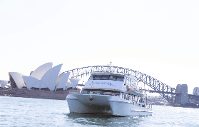 悉尼賞鯨選對船才不虧！4小時早餐/午餐遊船實測避坑✨