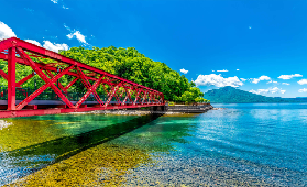 北海道初夏花田一日遊｜遊玩後總結5個避坑技巧