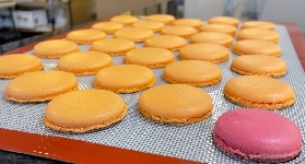 巴黎法式糕點手作體驗總結：3個必知技巧+行程規劃