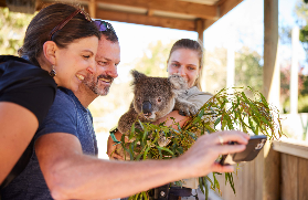 雪梨一日遊實測｜野生動物+瀑布+美酒！預訂前必睇5個隱藏貼士✨