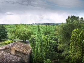 波爾多出發必試！聖埃米利翁騎行品酒｜避坑+選品全攻略✨