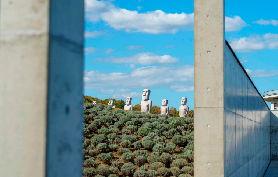 北海道秋遊一日遊避坑指南！秋櫻波波草+安藤大佛+BBQ全解析
