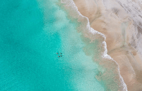 袋鼠島3天2夜探險初體驗｜臺灣人實測！超夯的大自然遊樂場怎麽玩？