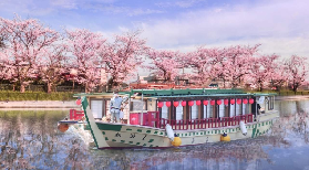 東京櫻花季遊船超讚！屋形船+三味線+櫻花海一次滿足🌸