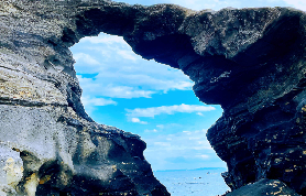 東京周邊一日遊｜三浦半島櫻花+海鮮+海景三重享受超讚！實測細節分享🌊