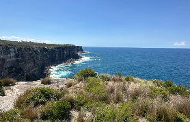 悉尼一日遊實測｜小團躺玩野生萌寵+私藏海岸！告別人潮太爽✨