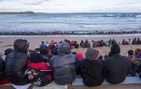 墨爾本一日遊｜希爾斯維爾+菲利普島雙景！企鵝歸巢+萌寵近觸超抵✨