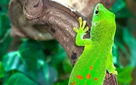 法國羅揚異國動物園｜實測隱藏玩法+避坑指南✨