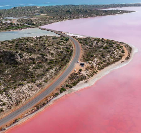 澳洲大洋路：一場繽紛多彩的感官盛宴