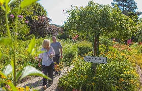 吉維尼一日遊實測｜莫奈花園睡蓮池美到哭！💐