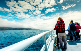 塔斯馬尼亞必玩！科爾斯灣→酒杯灣遊船｜躺著看世界最美海灘+鯨豚🍴