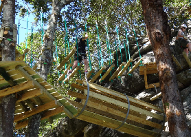 澳洲樹頂冒險實測｜2.5小時高空看動物超讚！避坑指南看這裏✨