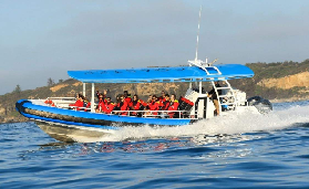 紐卡索2.5小時遊船實測｜3大隱藏景點+避坑指南✨