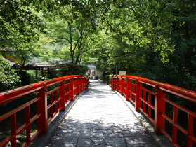 「2026伊豆一日遊避坑指南｜3個必註意細節+行程規劃建議📝」