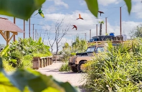 巴黎近郊「鸚鵡世界」實測！30分鐘飛去南美洲看企鵝+美洲虎🐾