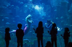 巴黎玩透透！Go City通行證實測體驗：原來這些細節超重要🤩