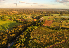 Mudgee熱氣球飛行｜一生難忘雲端日出！實測避坑指南✈️
