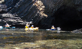 南海岸玻璃底皮劃艇實測｜全家玩到不想走！避坑指南收好✨