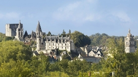 盧瓦爾河谷洛什城堡實測！36米高塔+地牢秘密｜避坑指南✨