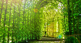 愛丁堡出發諾森伯蘭一日遊實測｜哈利波特取景地+蜂蜜酒初體驗✨