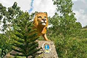 菲律賓西內格羅斯實測｜巴科羅出發DSB一日遊，這4個坑別踩🔥